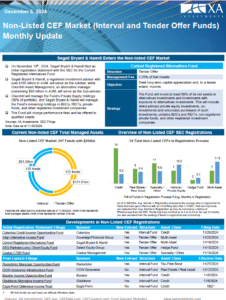 Non-listed CEF Market Monthly Update
