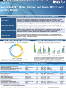 Non-listed CEF Market Monthly Update